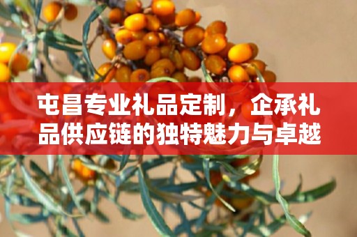 屯昌专业礼品定制，企承礼品供应链的独特魅力与卓越服务