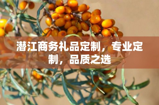 潜江商务礼品定制，专业定制，品质之选